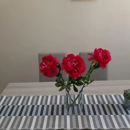 公寓 Maison D'amelia