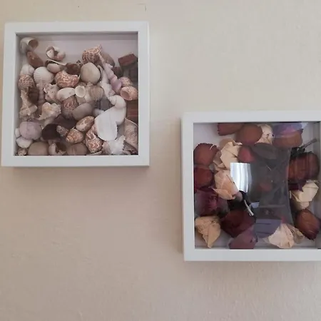 Apartament Maison D'amelia *